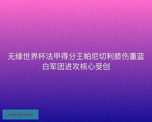 无缘世界杯法甲得分王帕尼切利膝伤重蓝白军团进攻核心受创