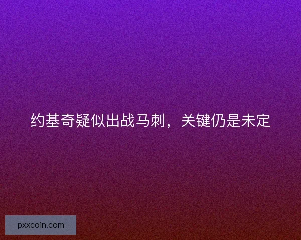 约基奇疑似出战马刺,关键仍是未定 约基奇疑似出战马刺,关键仍是未定