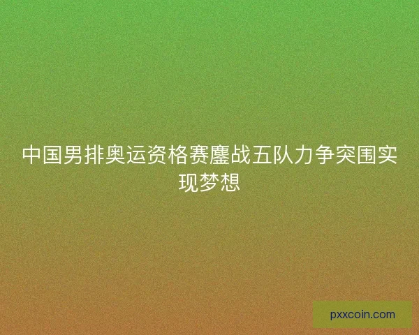 中国男排奥运资格赛鏖战五队力争突围实现梦想 中国男排奥运资格赛鏖战五队力争突围实现梦想